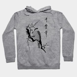 Hawk on a branch Hoodie